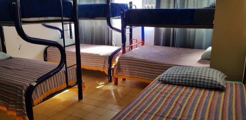 Bed in 8-Bed Dormitory Room