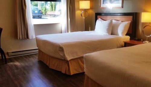 2 Queen Beds, Pool Level, Pet-Friendly, Non-Smoking