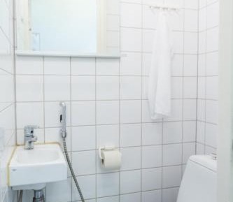 Superior One-Apartment with Sauna