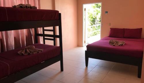 Bed in 6-Bed Mixed Dormitory Room