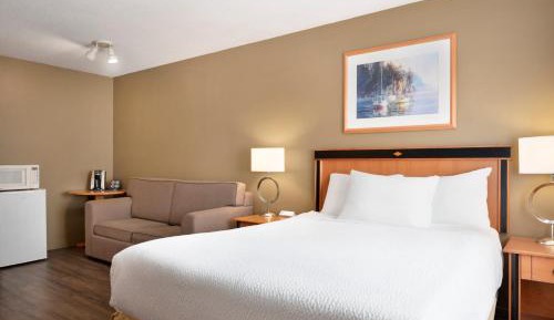 Queen Room (Pool Level) - Pet-Friendly