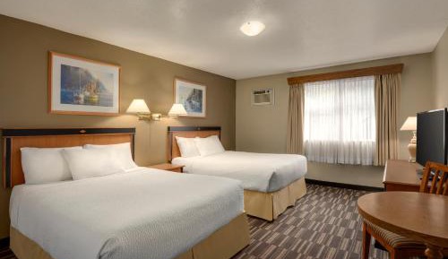 Studio Suite with Three Queen Beds (Pool Level) 