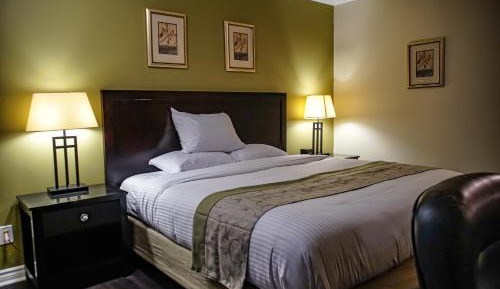 Standard King Room