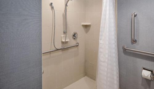 King Room with Sofa Bed and Roll-In Shower - Disability Access