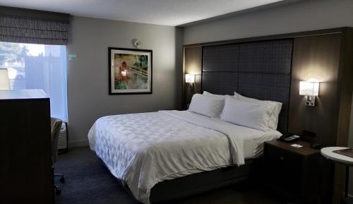King Room - Mobility Access/Hearing Accessible