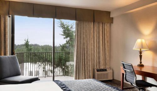 Queen Room with City View and Mobility/Hearing Impaired Access - Non-Smoking
