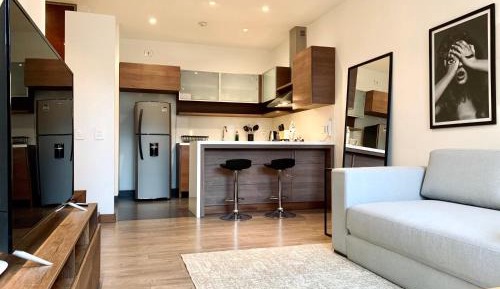 One-bedroom Loft Apartment 