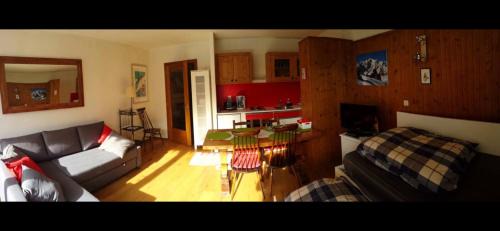 Studio with Mountain View