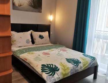 Large Double or Twin Room