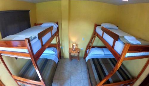 Bed in 4-Bed Mixed Dormitory Room