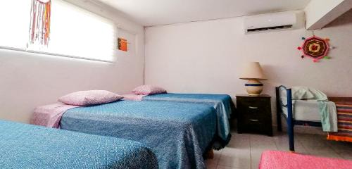 Single Bed in Female Dormitory Room