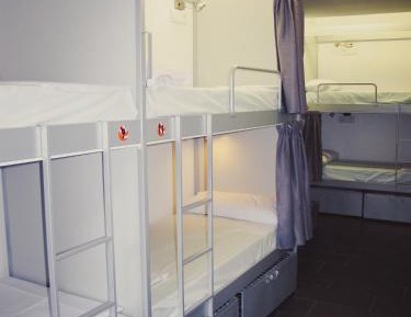 Bed in 8-Bed Dormitory Room
