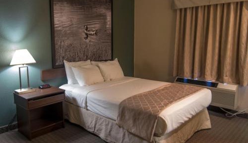 One-Bedroom King Suite - Non-Smoking