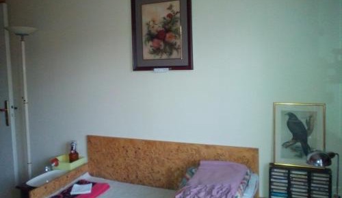 Single Room with Garden View