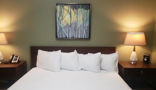 King Room with Garden View
