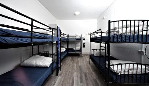 Bed in 8-Bed Mixed Dormitory Room