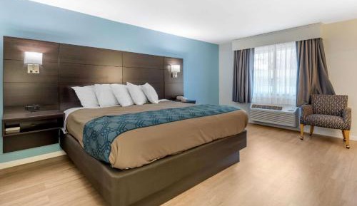 King Room - Non-Smoking/Not Pet-Friendly