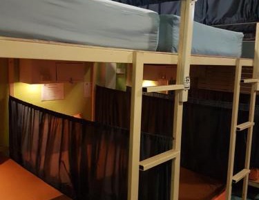 Bunk Bed in Mixed Dormitory Room