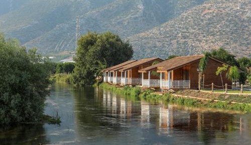 Bungalow - Water Front 
