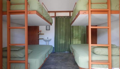 Bed in 4-Bed Mixed Dormitory Room