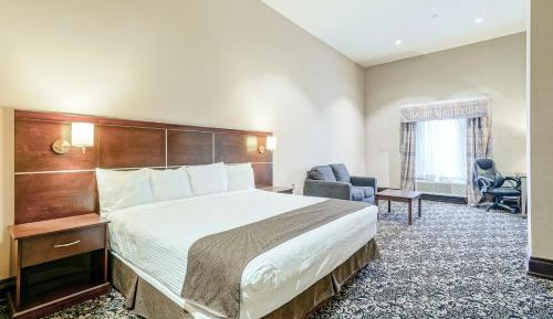 King Suite with Sofa Bed