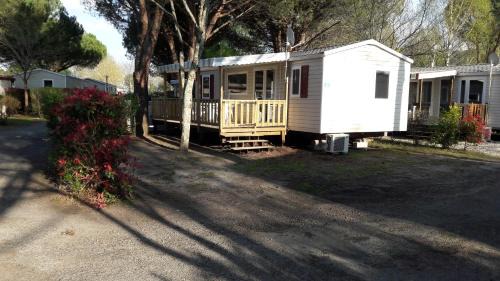 Mobile Home
