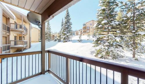 Three Bedroom Apartment