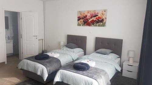 Large Double or Twin Room