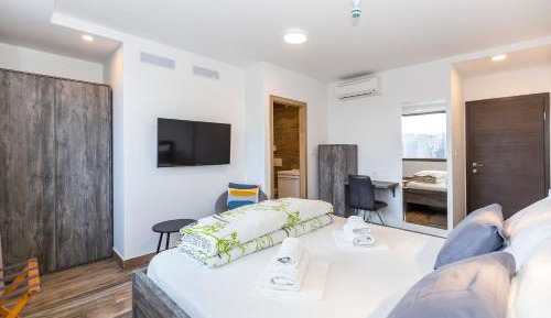 Deluxe Double or Twin Room with City View