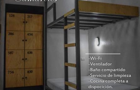 Bed in 6-Bed Mixed Dormitory Room