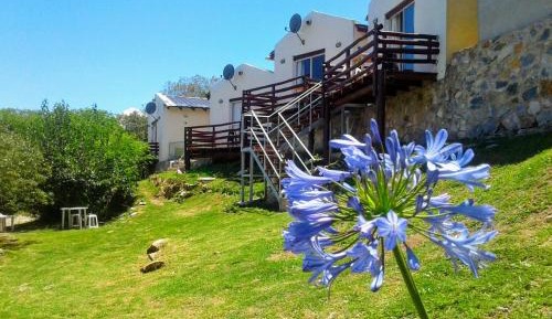 Cottage with Garden View