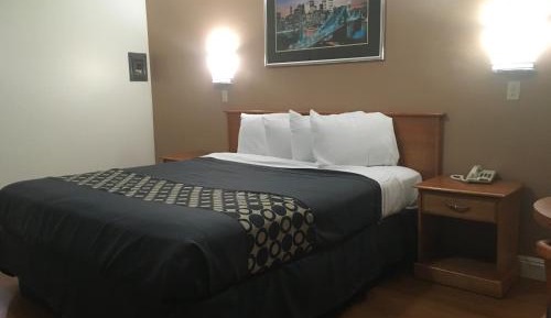 Non Smoking King Room