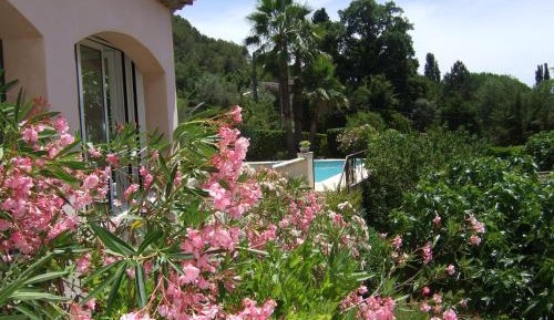 Standard Double or Twin Room with Garden View