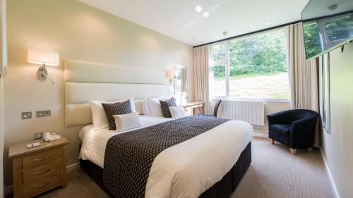 King Twin/Double Room