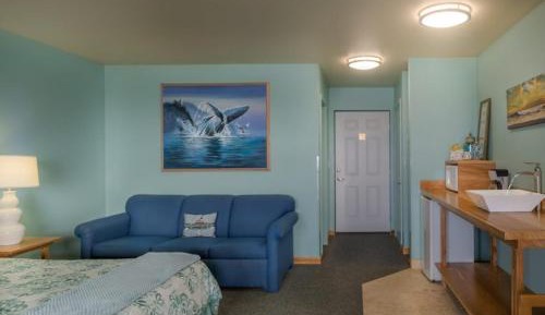 Deluxe King Suite