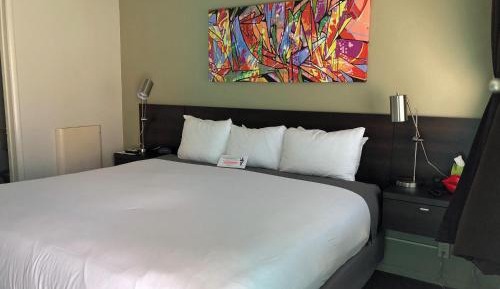 Deluxe Queen Room with Patio View - Pet Friendly