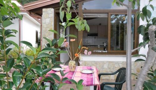 Studio with Garden View