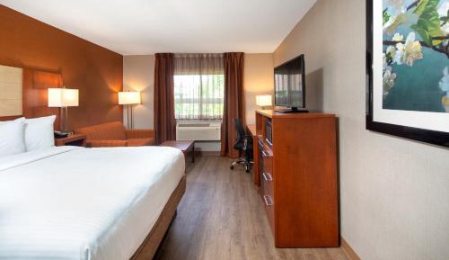 Queen Room