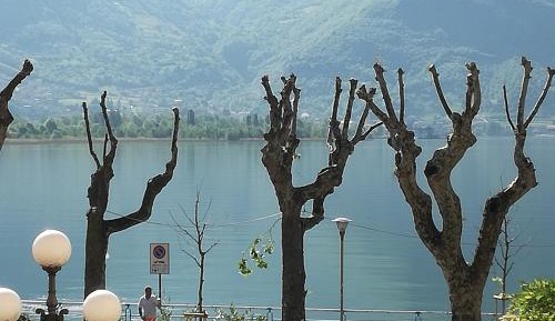 Studio with Lake View
