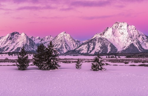 Jackson Hole Hotel | The Wort Hotel