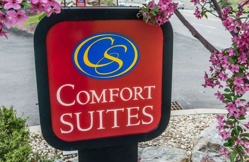 Monroeville Hotel | Comfort Suites Monroeville