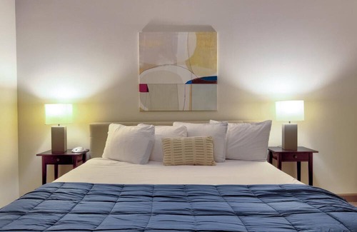Central West End Apartment | St. Louis | Gorgeous 2BD/2BA Central West End Apartment