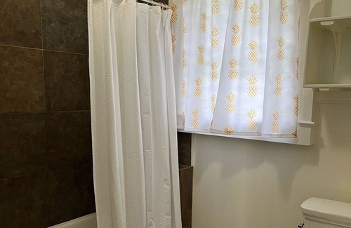 Hilo House | Hale Ponahawai - Charming Hilo Retreat