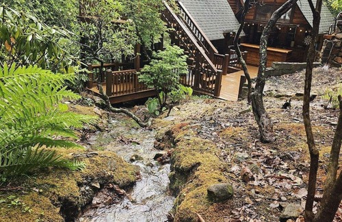 Ellijay Cabin | Creekside Cottage- Cozy 3-bedroom cabin in adorable Ellijay GA