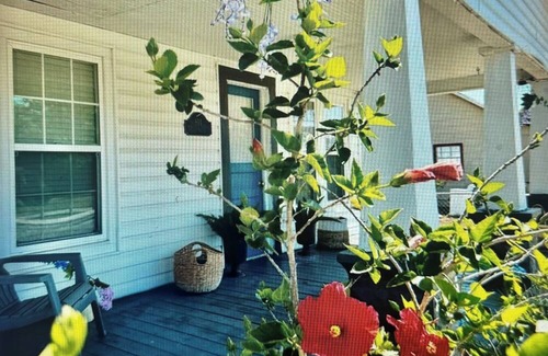 Wauchula House | Charming 3-bedroom house with WiFi, AC in gorgeous Wauchula