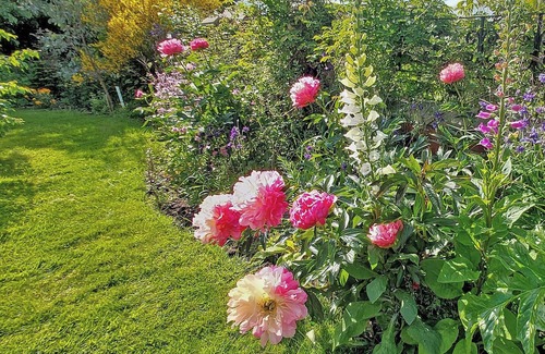 Leeming Bar Cottage | 1 bedroom accommodation in Leeming Bar, near Northallerton