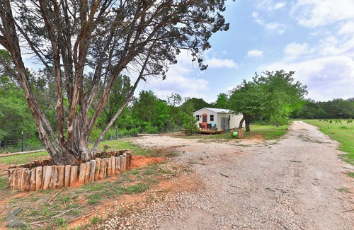 Buffalo Gap Cabin | Secluded cabin, "The Lady" on Christmas tree farm, near Perini Ranch Steakhouse!