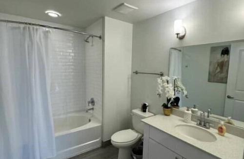 Downtown Hollywood Condo | Luxury Condo in Downtown Hollywood