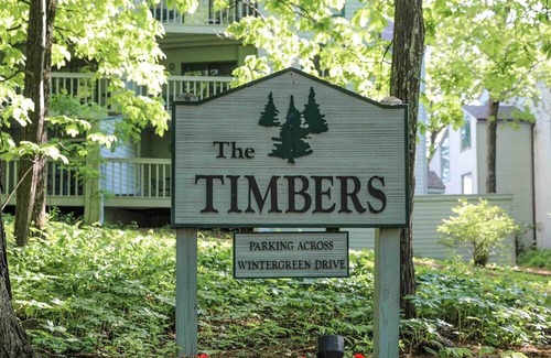 Wintergreen Condo | Timbers Studio 14 with Wintergreen Advantage