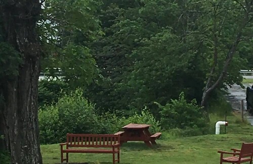 Lochmere Cabin | 1 BR Cabin with Dock and Shared Beach